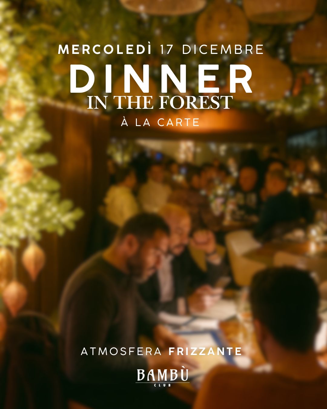 DINNER IN THE FOREST - MERCOLEDI 17 DICEMBRE 