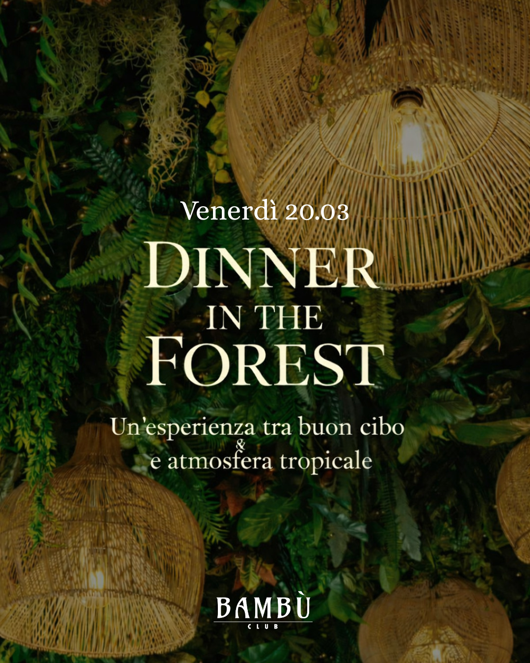 DINNER IN THE FOREST 