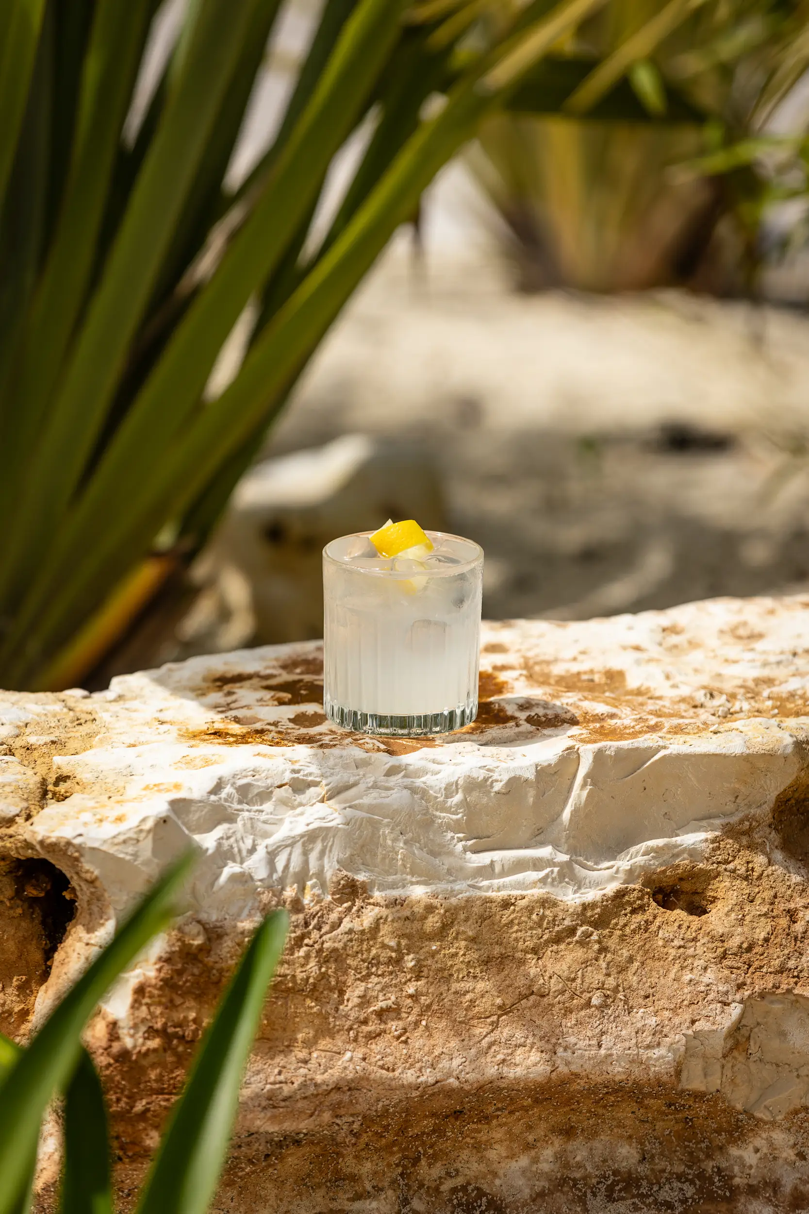 Gallery - Bambu Club