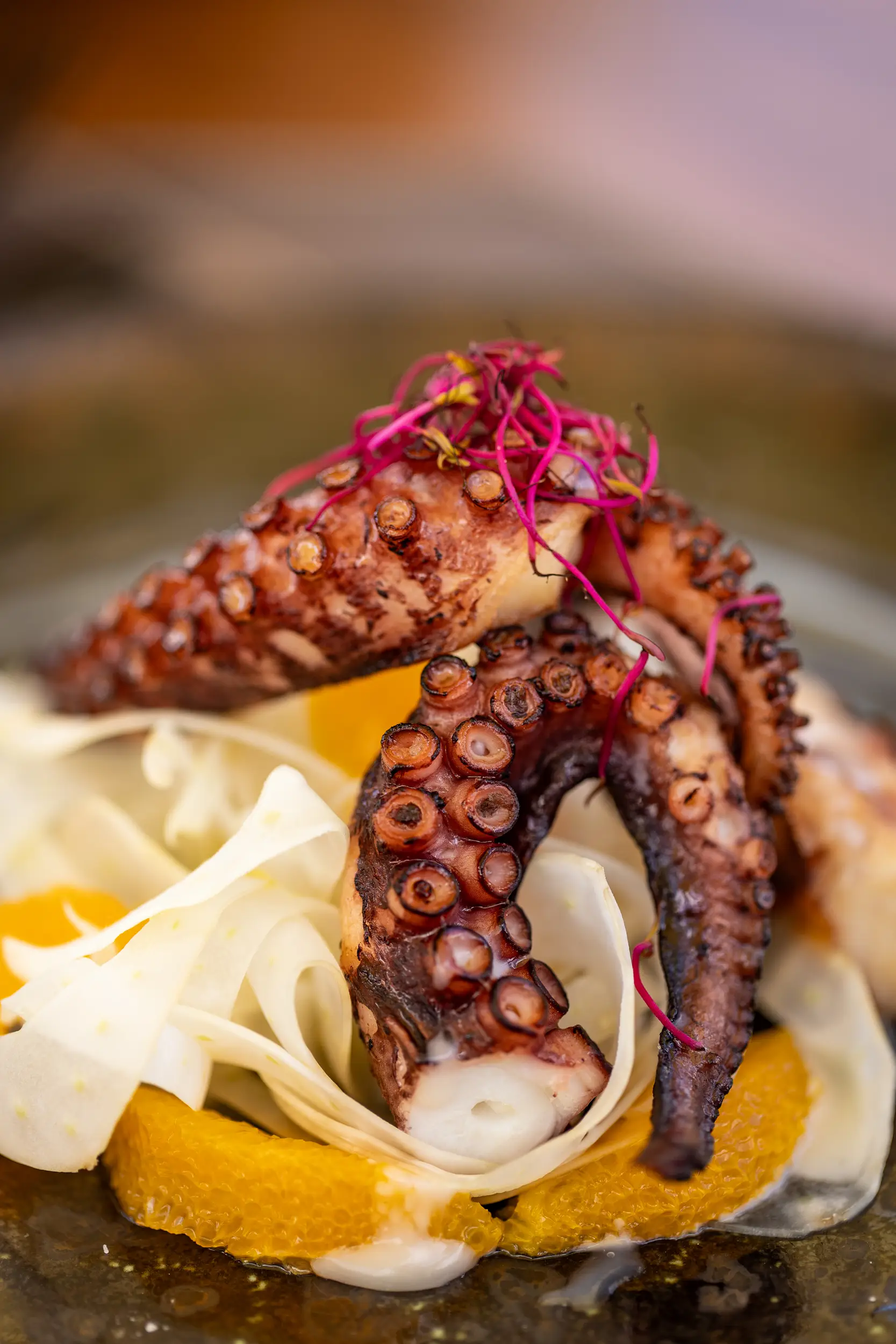 Gallery - Bambu Club