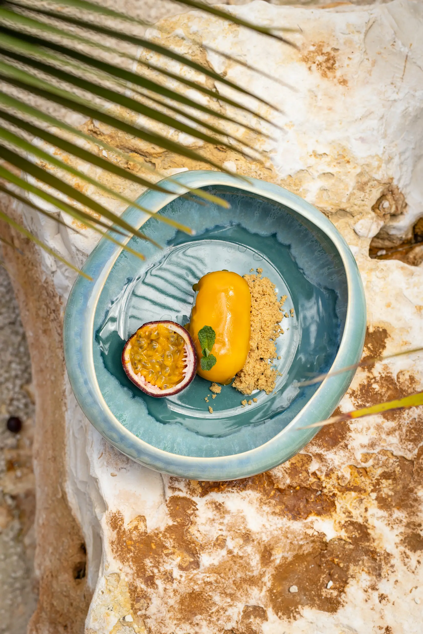 Gallery - Bambu Club